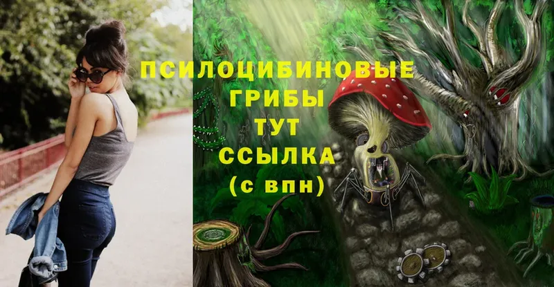 KRAKEN маркетплейс  Задонск  Псилоцибиновые грибы Psilocybine cubensis 